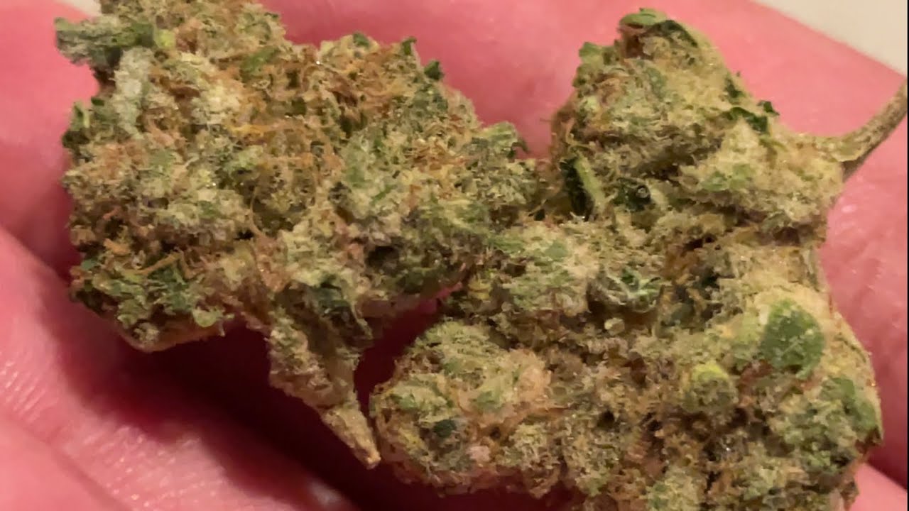 Kimbo Kush- Justice Grown