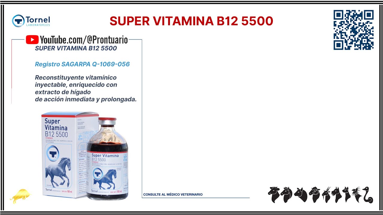 SUPER VITAMINA B12 5500