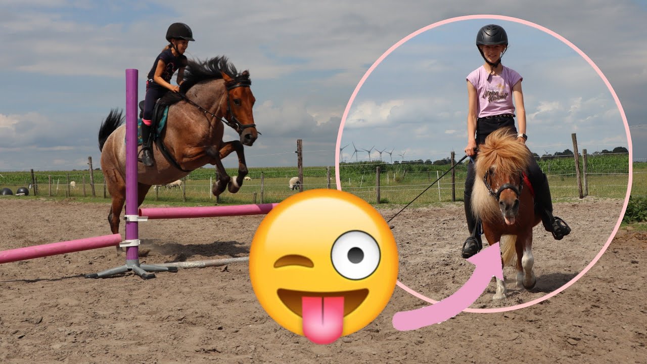 PARCOUR met paarden RIJDEN en SPRINGEN||vlog123