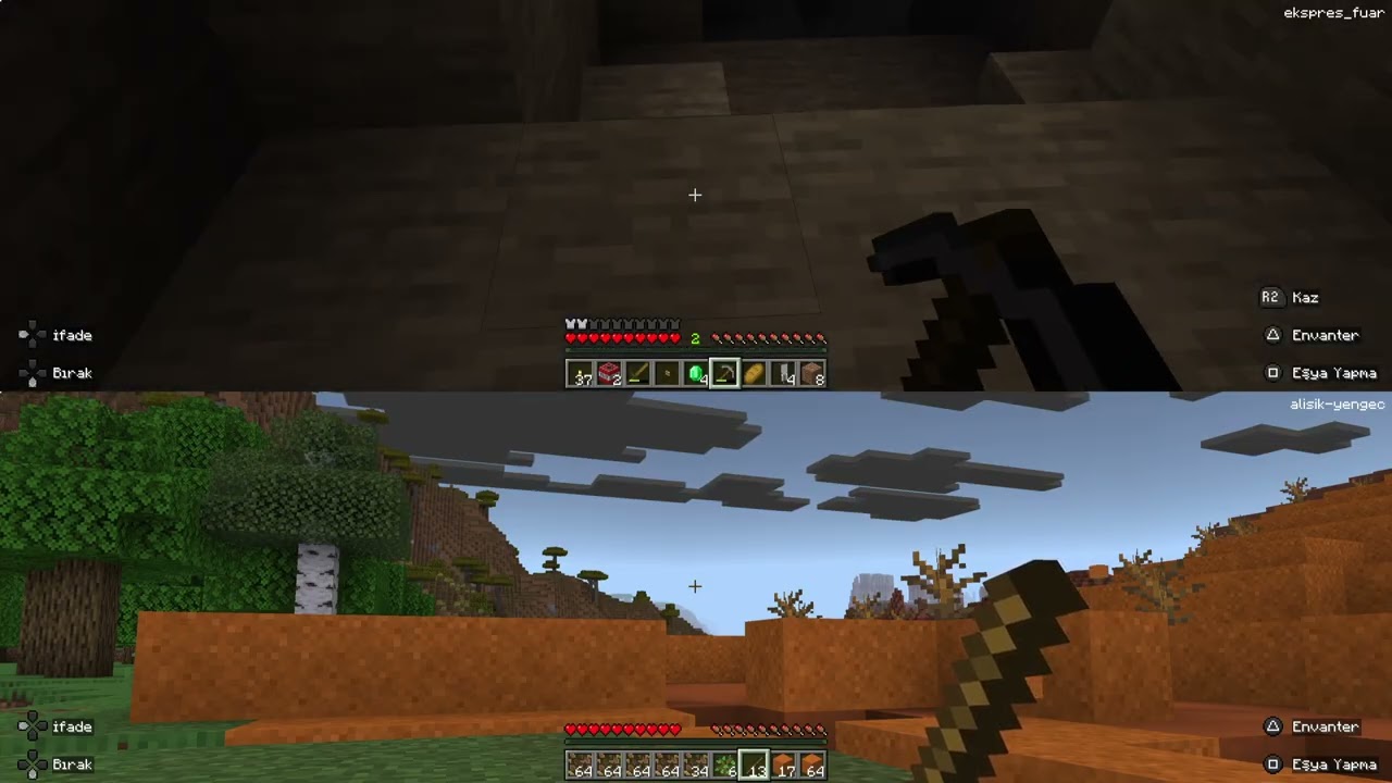 Minecraft oynadım