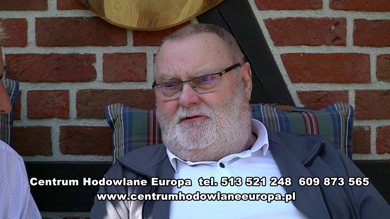 WERNER STELLERMANN - VREDEN