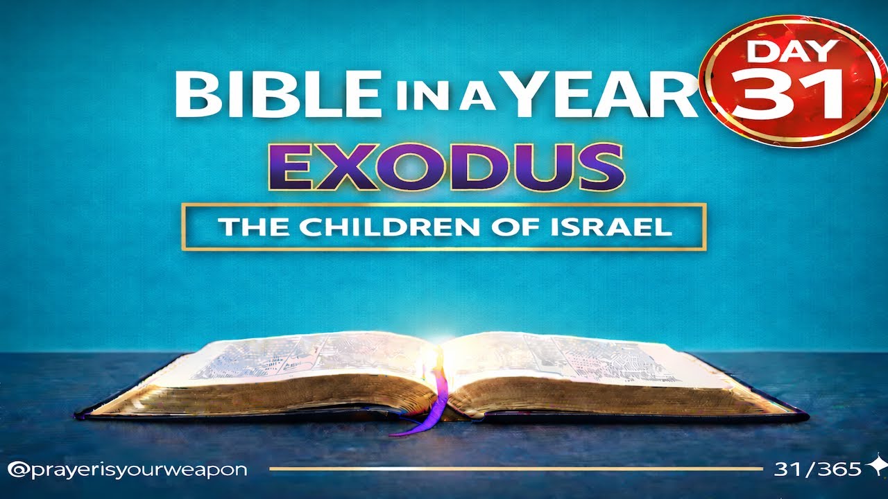 Day 31: Bible in a Year | Exodus 36-38 | @Prayerisyourweapon