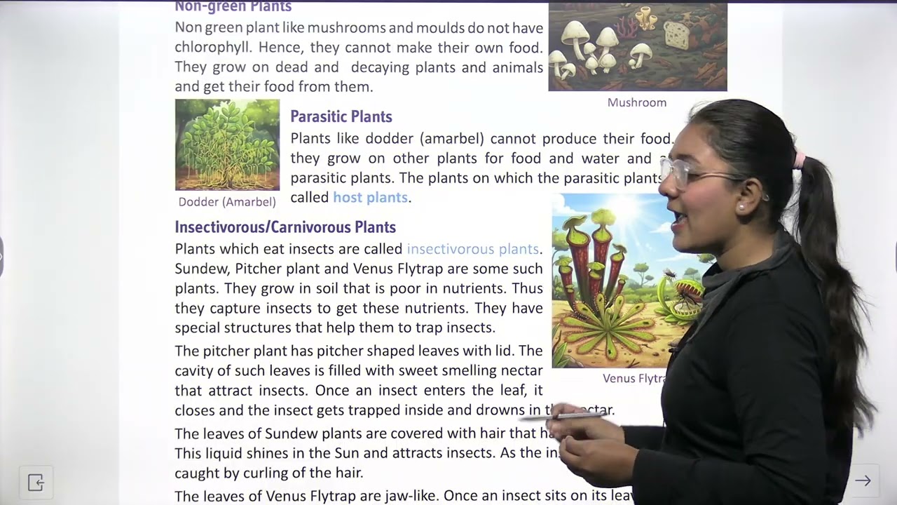 CHILDREN VOICE EVS CLASS 5 CHAPTER 12 FOOD FOR PLANTS AND ANIMALS