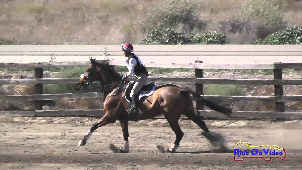 060XC Alexandra Tett on Quiproquo Des Vatys CCI1* Cross Country Galway Downs Int'l Nov.2015