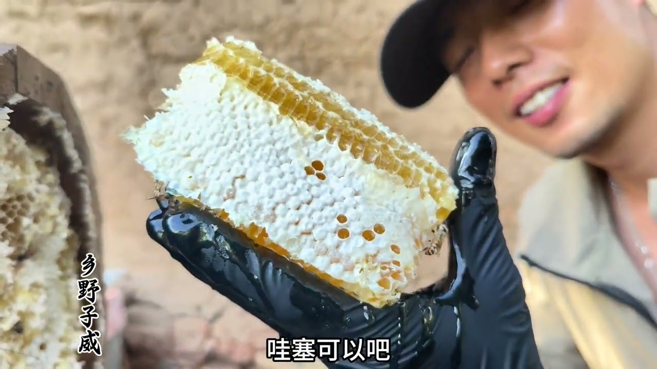 蜂桶蜜满的要溢出，子威做回归本行，收获满满 #乡野子威