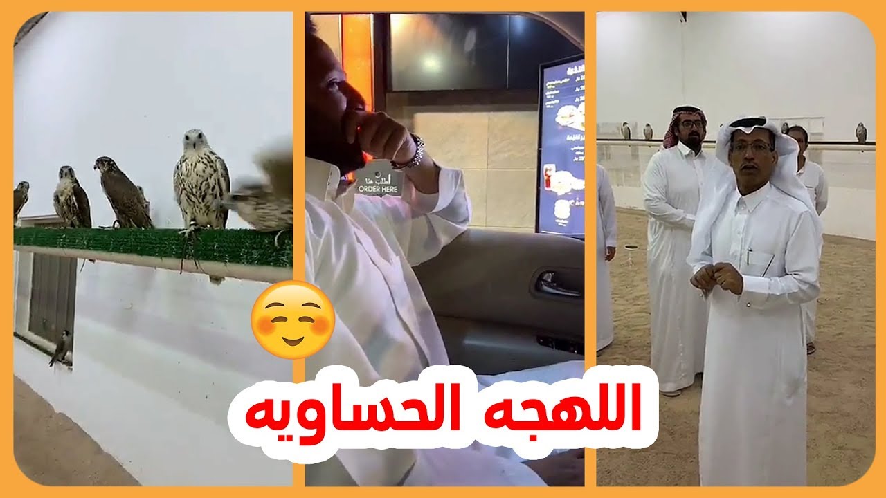 الامير ناصر بن نواف في مربط طيور العدواني 😊 اسمعو اللهجه الحساويه باخر المقطع