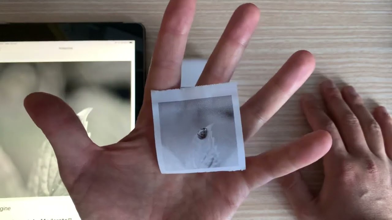 Mini stampante senza inchiostro