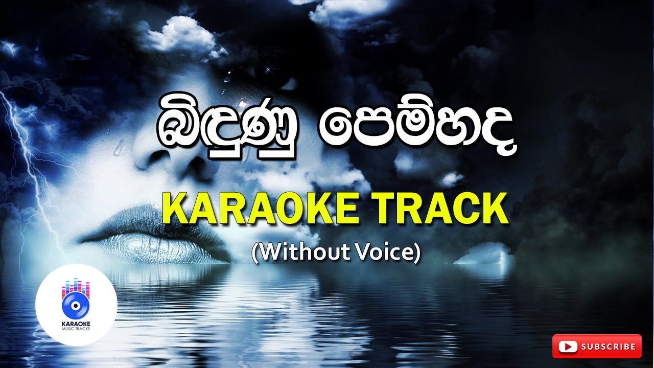 Bindunu Pem Hada | බිඳුණු පෙම්හද ( Without Voice) | SINHALA KARAOKE