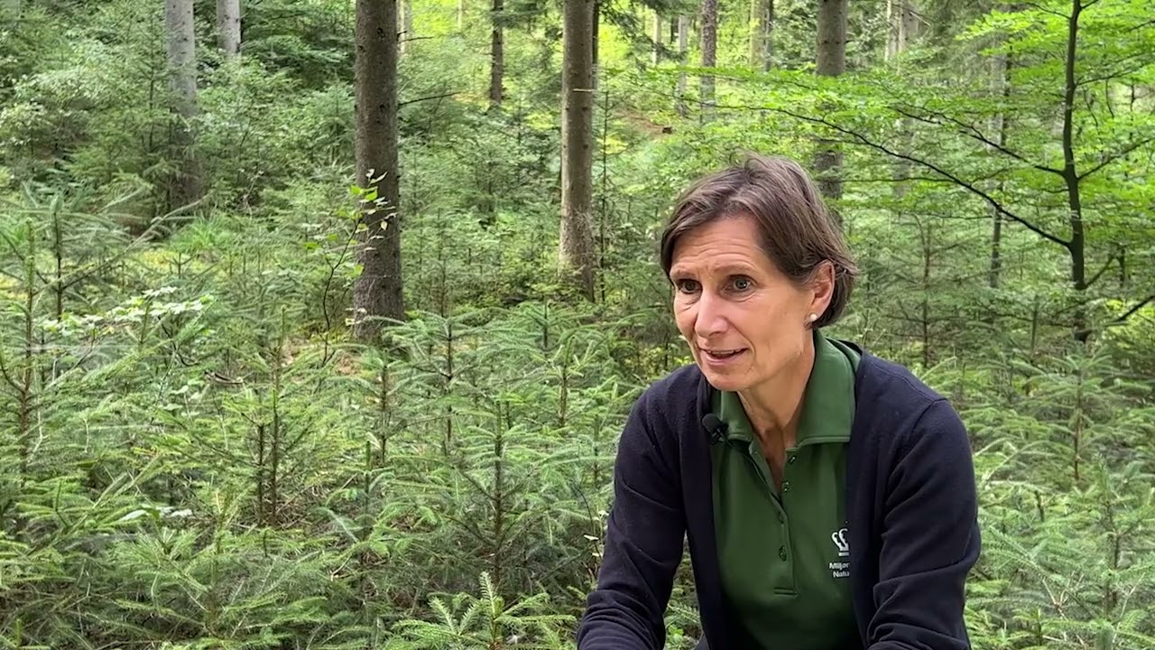 Hvad ved vi om konvertering til naturn&aelig;r skovdrift i n&aring;leskov i dag?