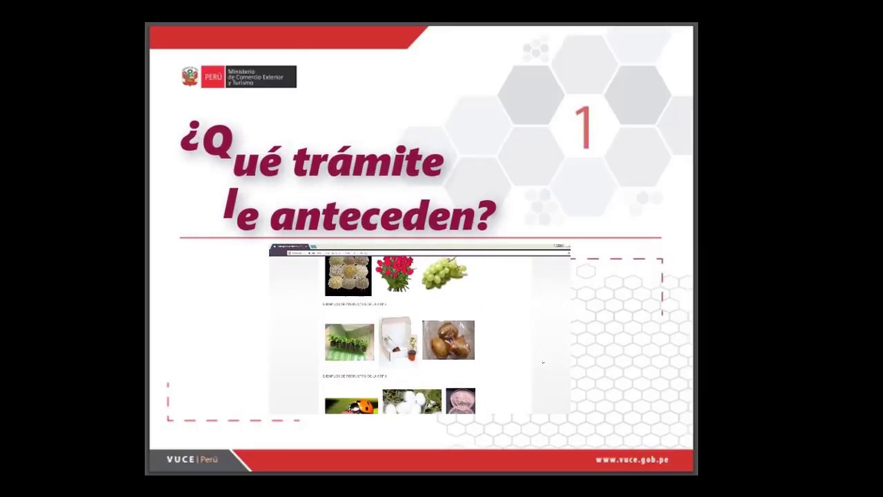 Importación / Inspección fitosanitaria para la importación  SNS009 - TUPA CVI 02