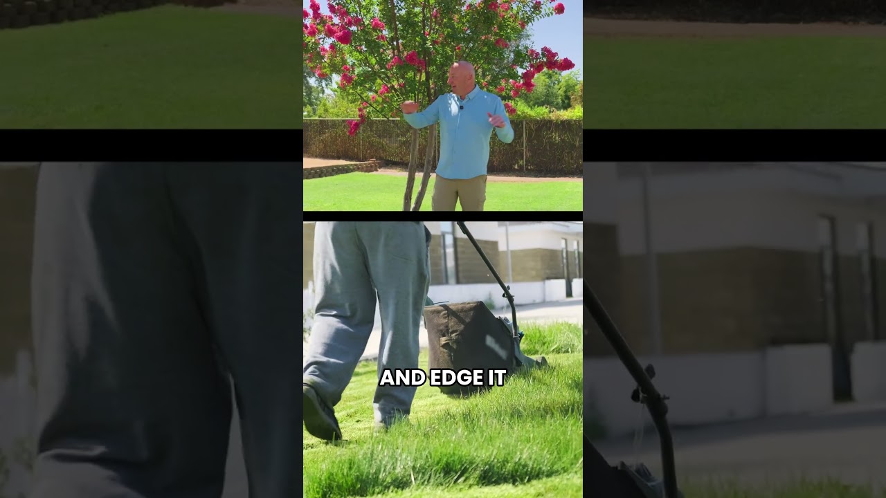 Top 5 Front Yard Upgrades to Boost Your Home’s Value! 🏡💰 | Easy Curb Appeal Ideas 🌿