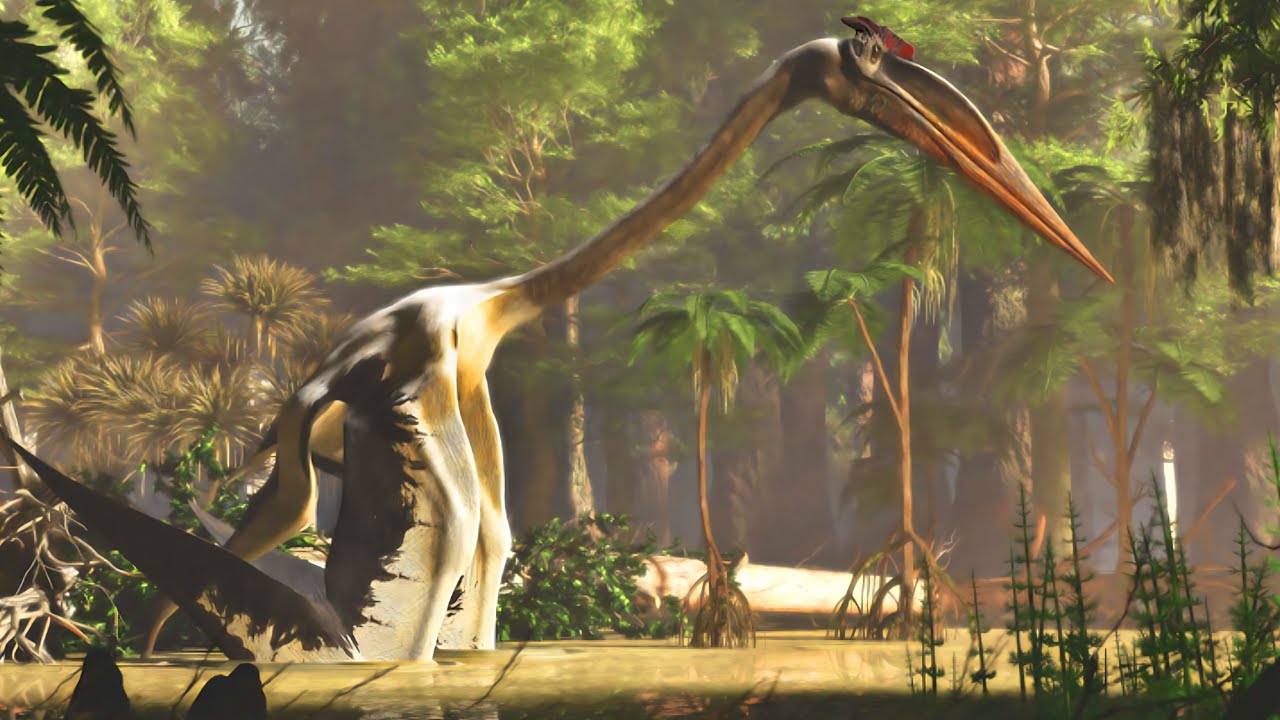 El Animal M&aacute;s Grande Que Jam&aacute;s Vol&oacute; En Am&eacute;rica - Quetzalcoatlus