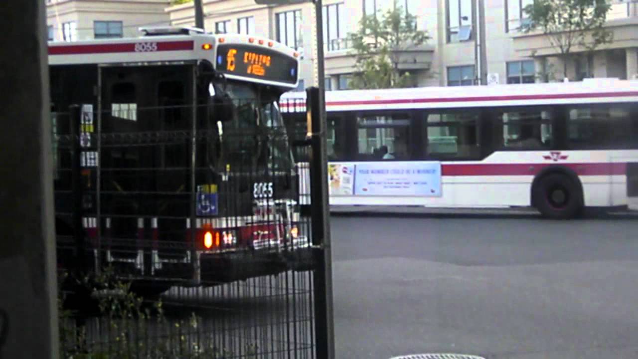 Summer Buses-2007 TTC Orion VII Diesel Video  collections