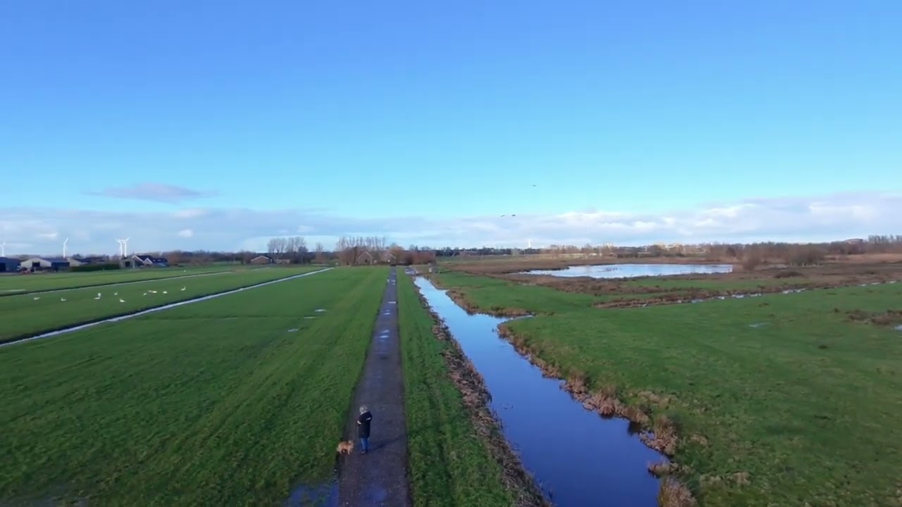 ZAANS RIETVELD, ALPHEN AAN DEN RIJN. DJI NEO