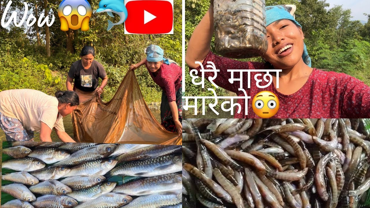 Aaj kti dherai macha mareyko  🥰🐬🐬