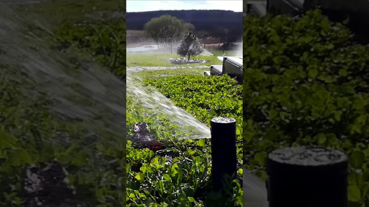 Hunter PGJ Rotor. Automatic Lawn Irrigation System