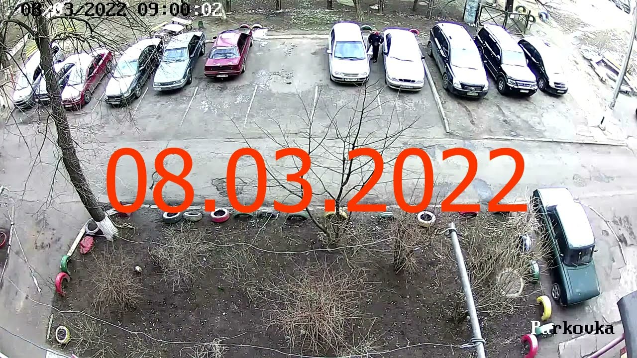8 марта 2022, снег
