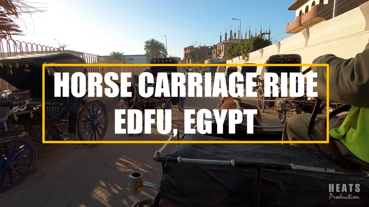 Horse Carriage Ride in Edfu, Egypt