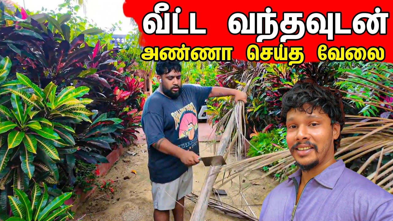 வீட்டை பார்த்து அதிர்ச்சி அடைந்த அண்ணா 😱 / Tamil bros 