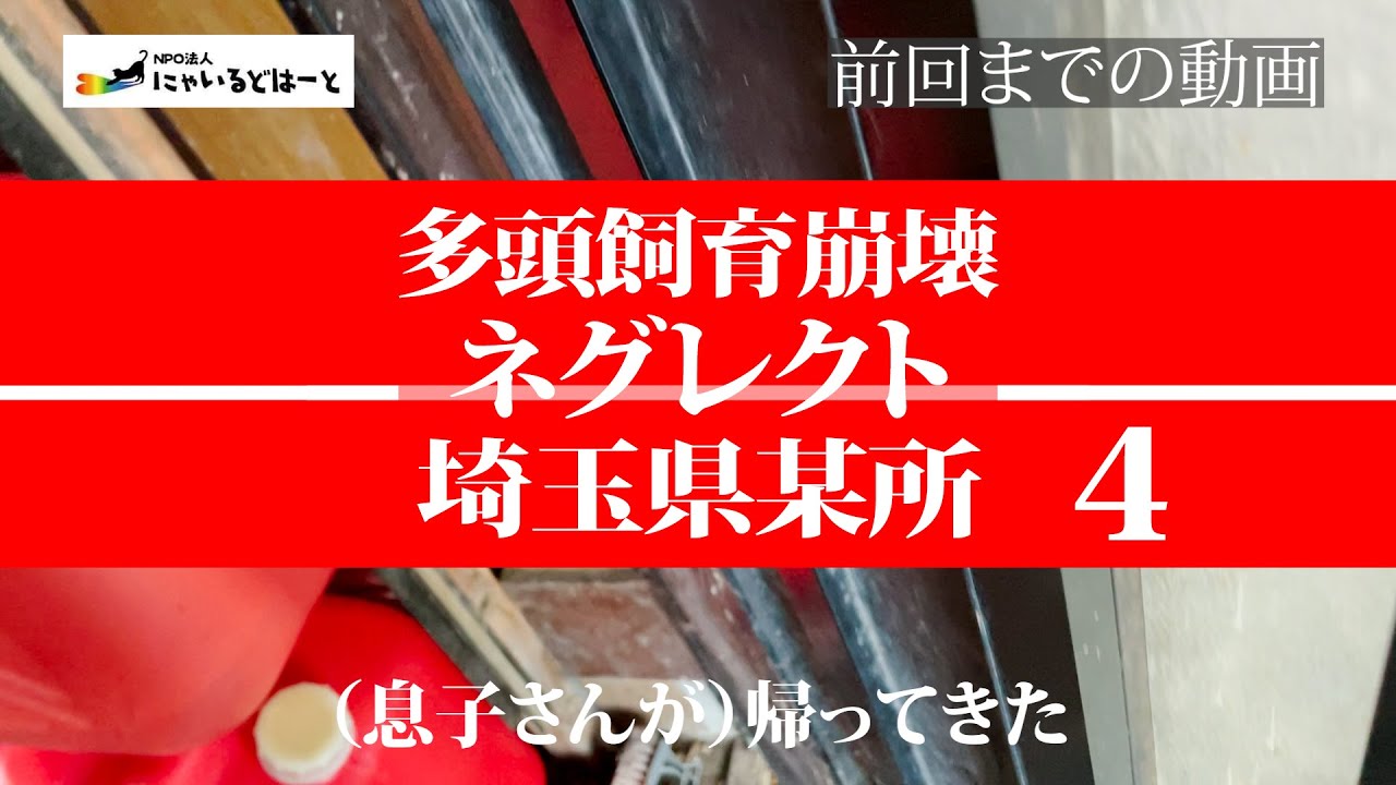 【ネグレクト】埼玉県某所で多頭飼育崩壊④#402