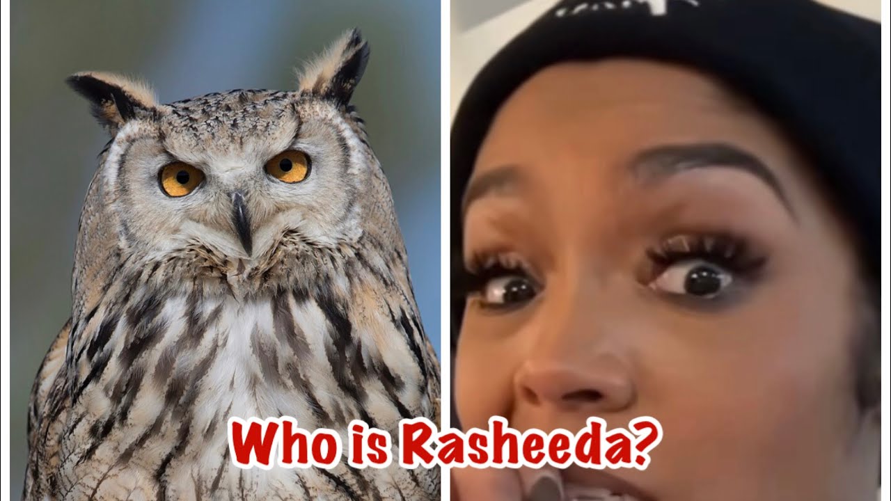 Would you go to a Rasheeda concert?