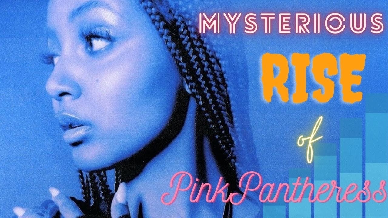 How PinkPantheress Manifested Her Success...| Blowing Up On TikTok, The Success Of 