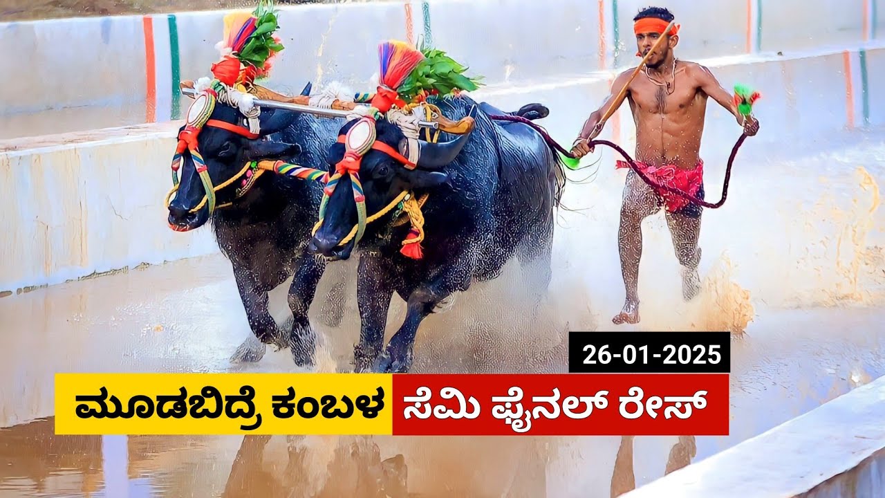 Moodabidre Kambala Semi Final race 2025 | ಮೂಡಬಿದ್ರೆ ಕಂಬಳ ಸೆಮಿ ಫೈನಲ್ ರೇಸ್