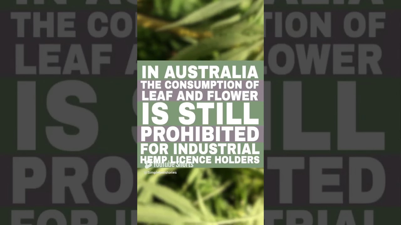 NO THC&hellip; 🙄 but still ILLEGAL??? ​#hemp #hempcrete #hempfarming