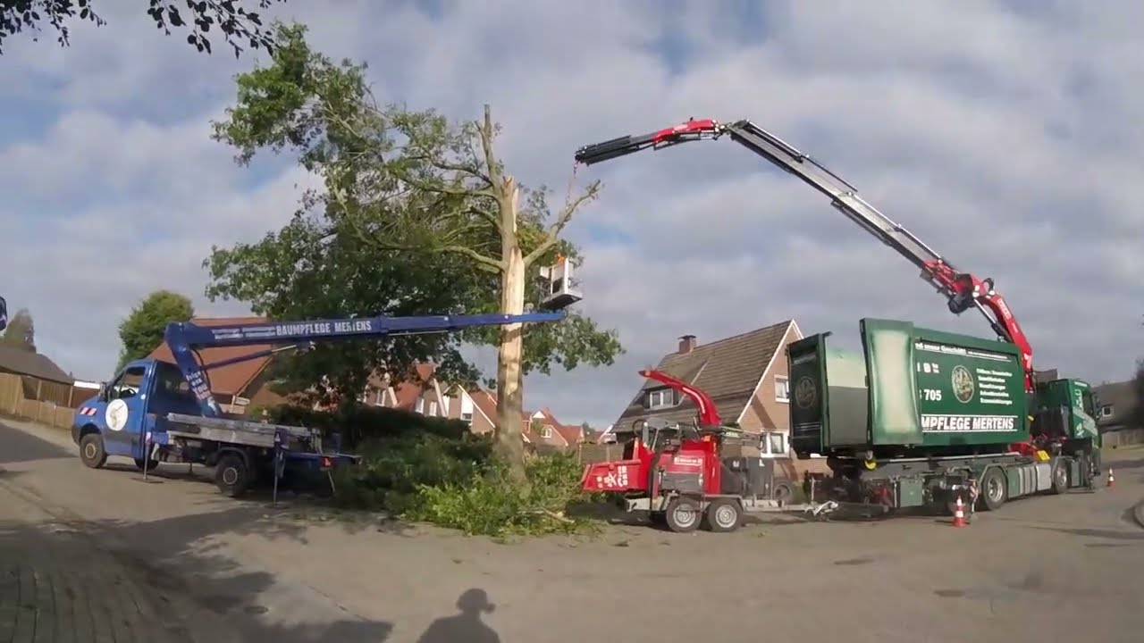 Sturmschaden Eiche , ist viel zu schwer! Hulk zu schwach?  Nächster Schritt ist ein Autokran!