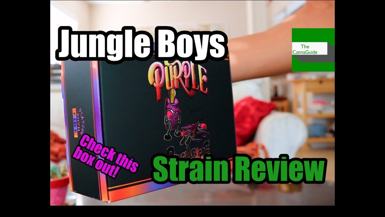 Jungle Boys' Purple Punchsicle Sesh and Box Feature