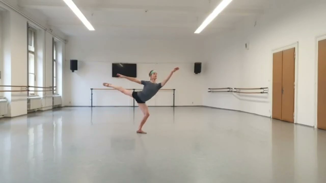 Ale&scaron; Matou&scaron;ek - BALLET AUDITION