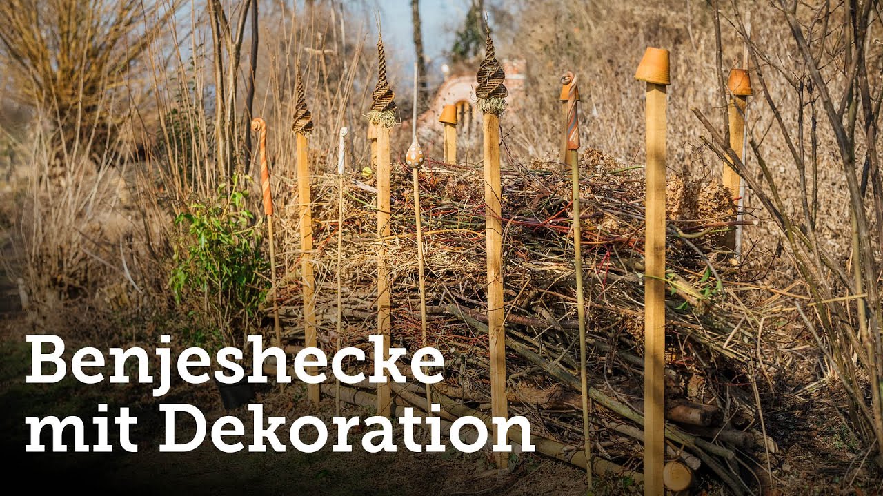 Aus Strauch/Baumschnitt wird eine wertvolle Totholzhecke/Benjeshecke für Igel, Vögel und Insekten!