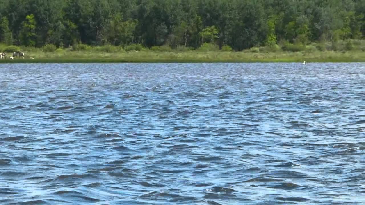 002 Lauwersmeer 30 mei-2 juni 2012.mp4