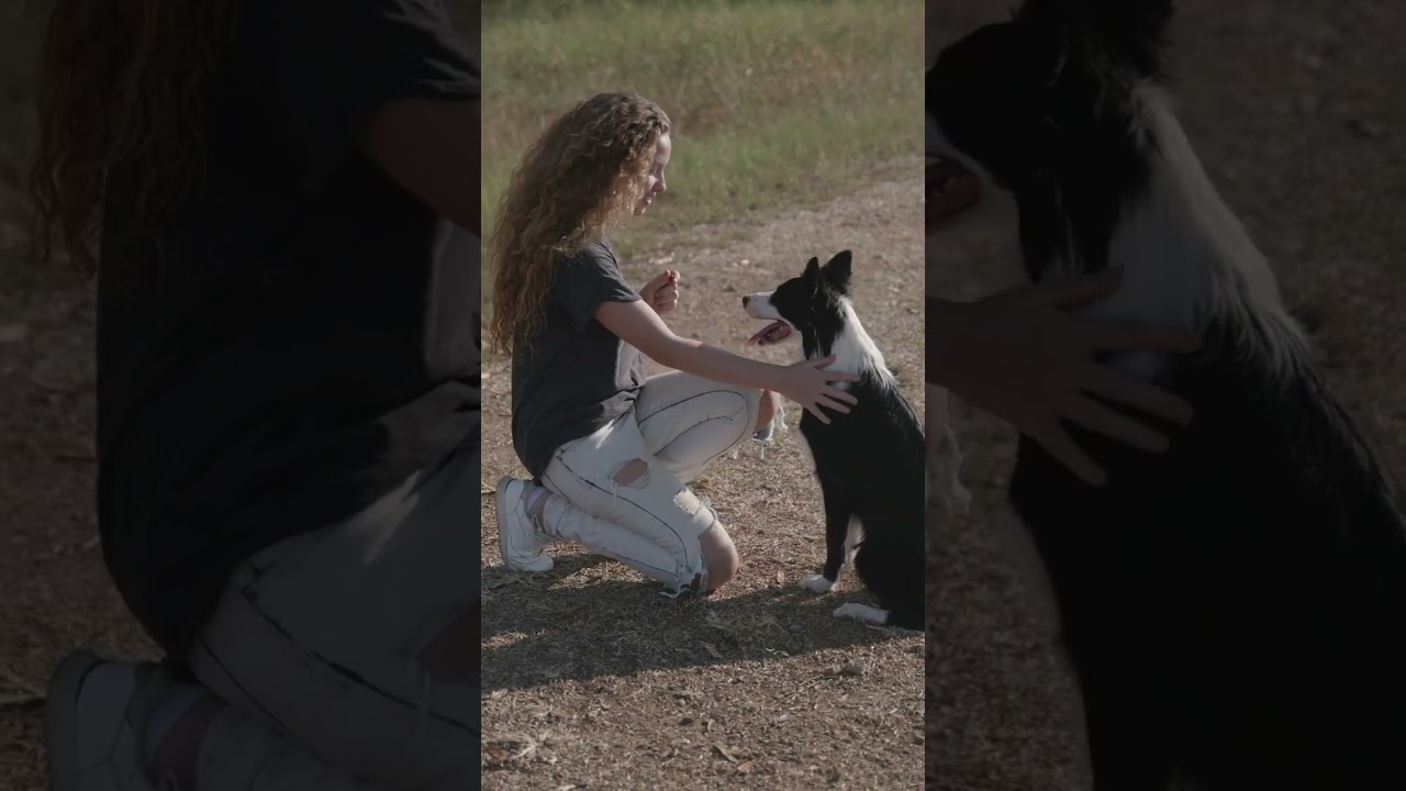 The Truth About Dogs That Never Leave Your Side