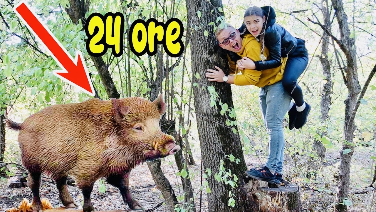 😱SUPRAVEȚUIM in PĂDURE🦉24 de ORE⏰