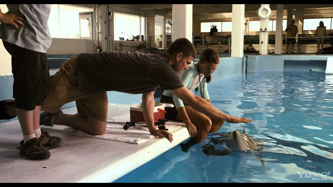 Dolphin Tale 2011 (Hun.&.Int.Sub. Trailer HD 1080p)