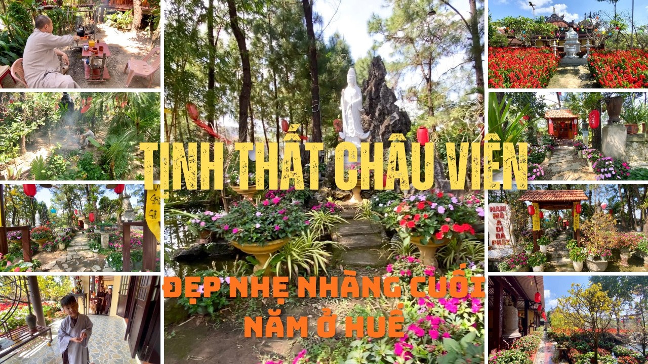 Đồi Thông Chùa Châu Viên Ngày Cuối Năm – Đẹp Nhẹ Nhàng Mà Sâu Lắng