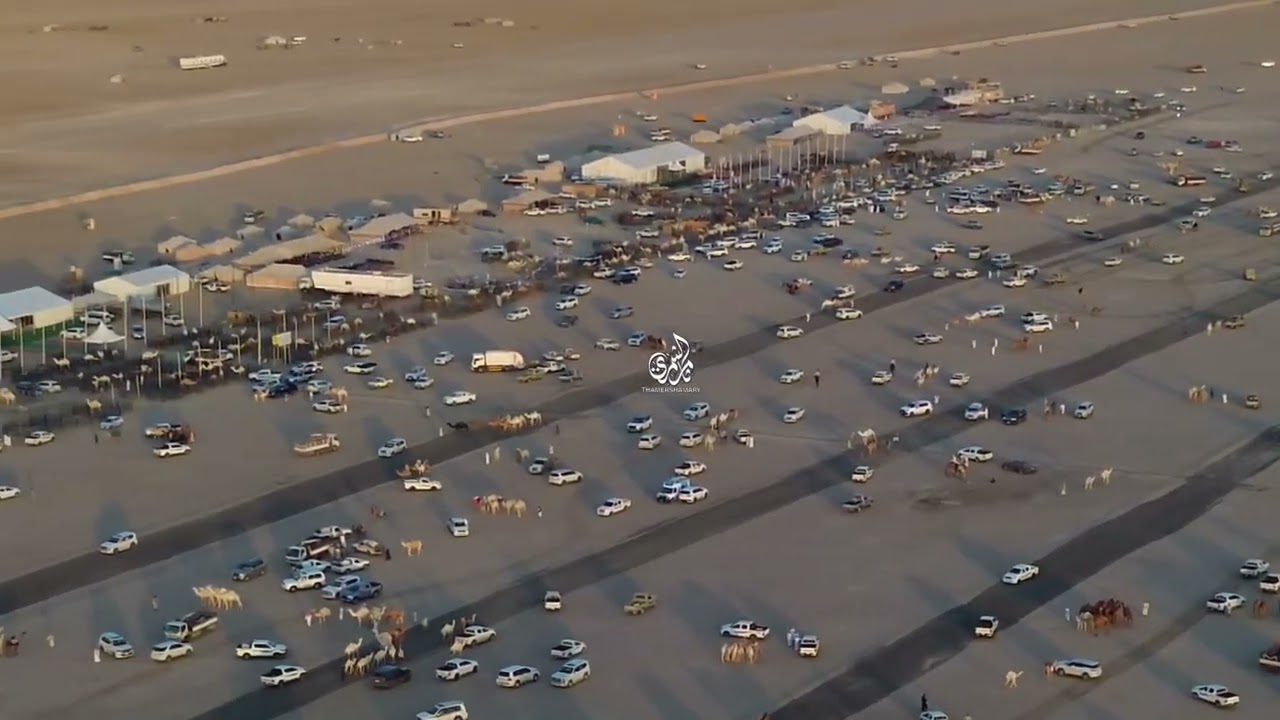 مزاد السعيرة للابل بمحافظة حفرالباطن