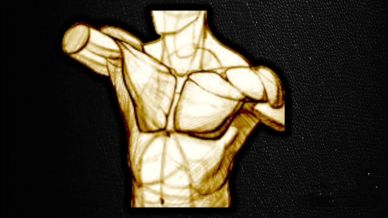 Gamma Workout Series - Vol II - Metamorphic Pecs (Morphic Field)