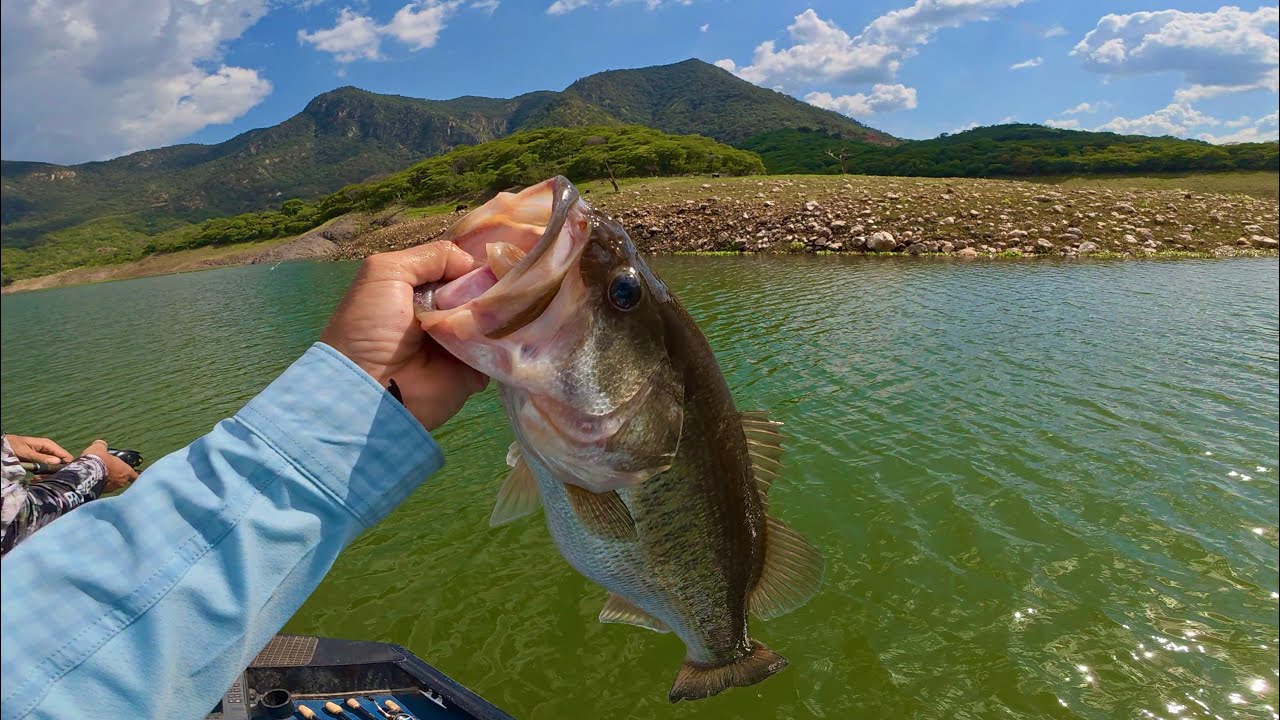 Incre&iacute;ble Pesca de Lobinas en este Lago en las Monta&ntilde;as! 