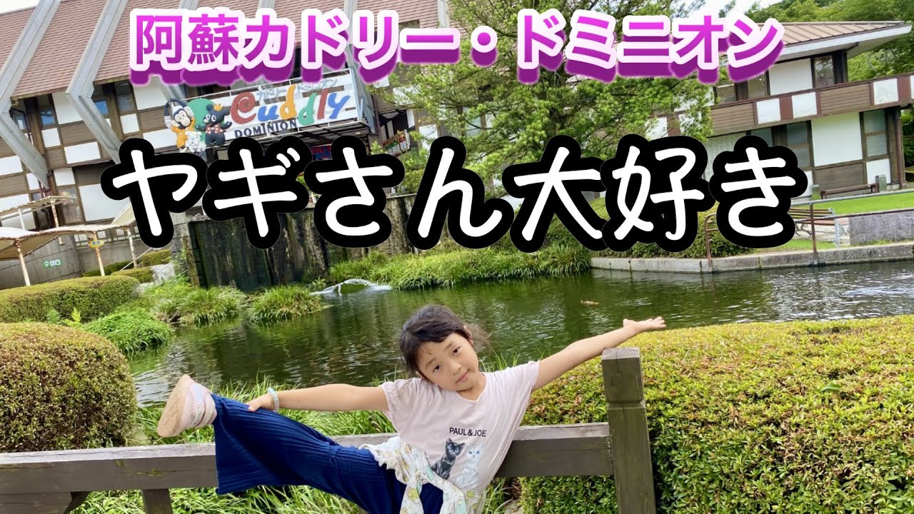 【阿蘇カドリー・ドミニオン②】ヤギさん大好き！