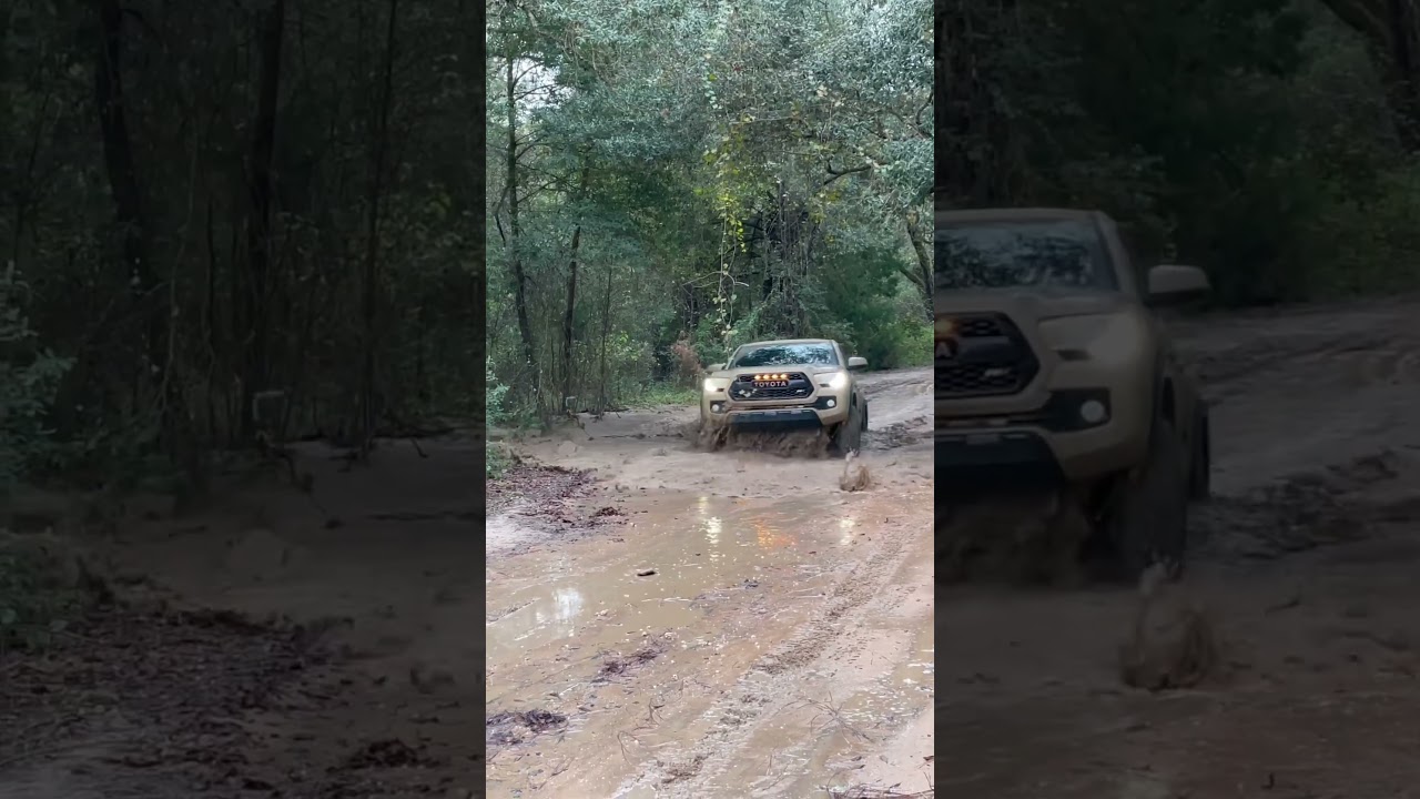 Tacoma trdoff road offRoading Toyota #toyota #4x4 #offroad #awd #4wd #florida #automobile #supercars