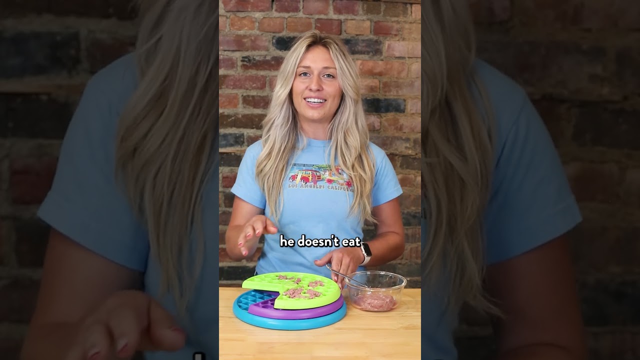 New Puzzle Alert! 🧩 Outward Hound Nina Ottosson Lickin Layers