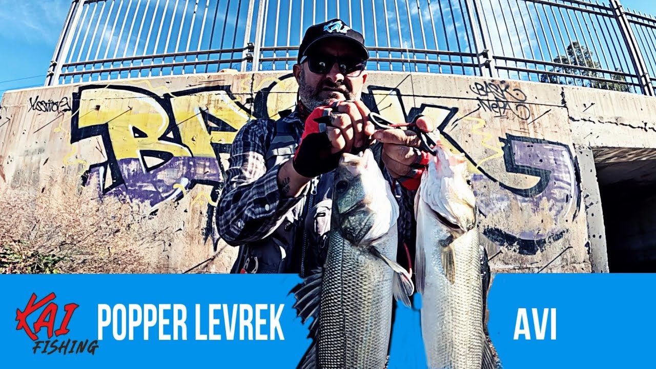 MİNİ POPPER İLE BÜYÜK LEVREK AVI