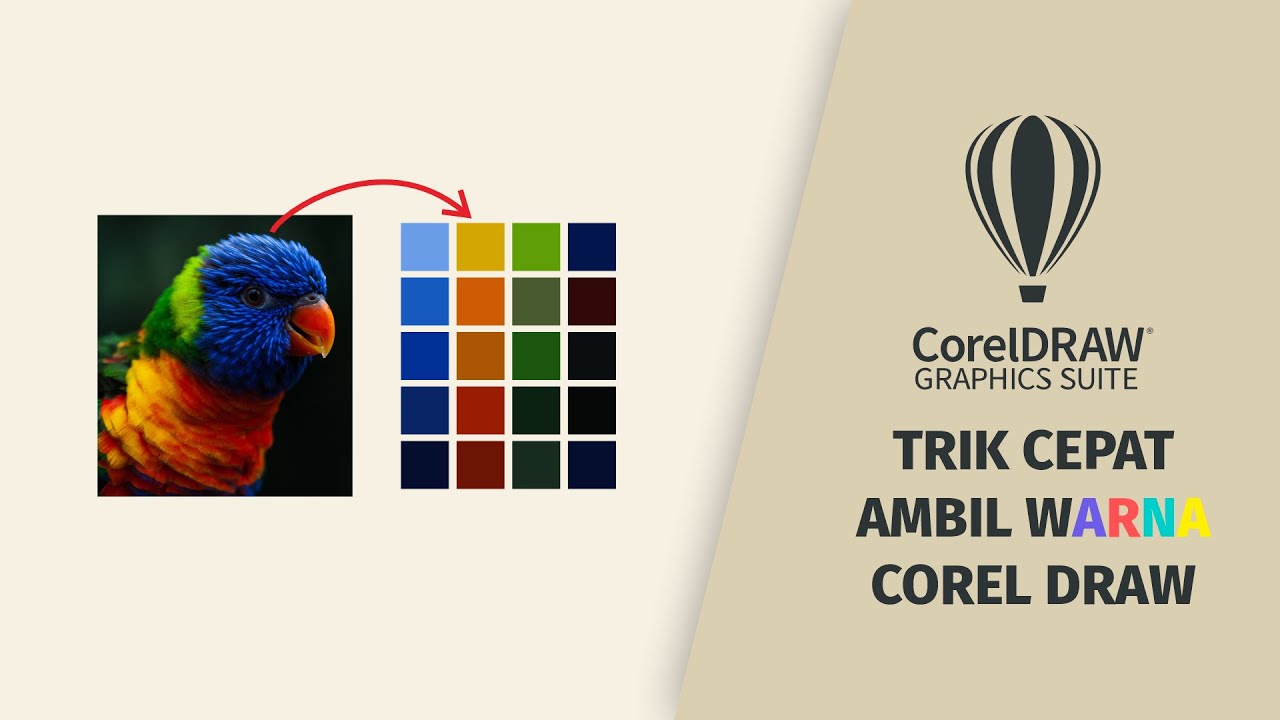COPY WARNA JADI MUDAH DI COREL DRAW