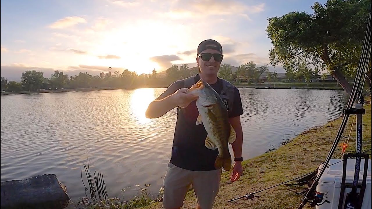 San Diego Freshwater Bass Fishing Santee Lakes, California With Some Catch Company Lures | SDFS |