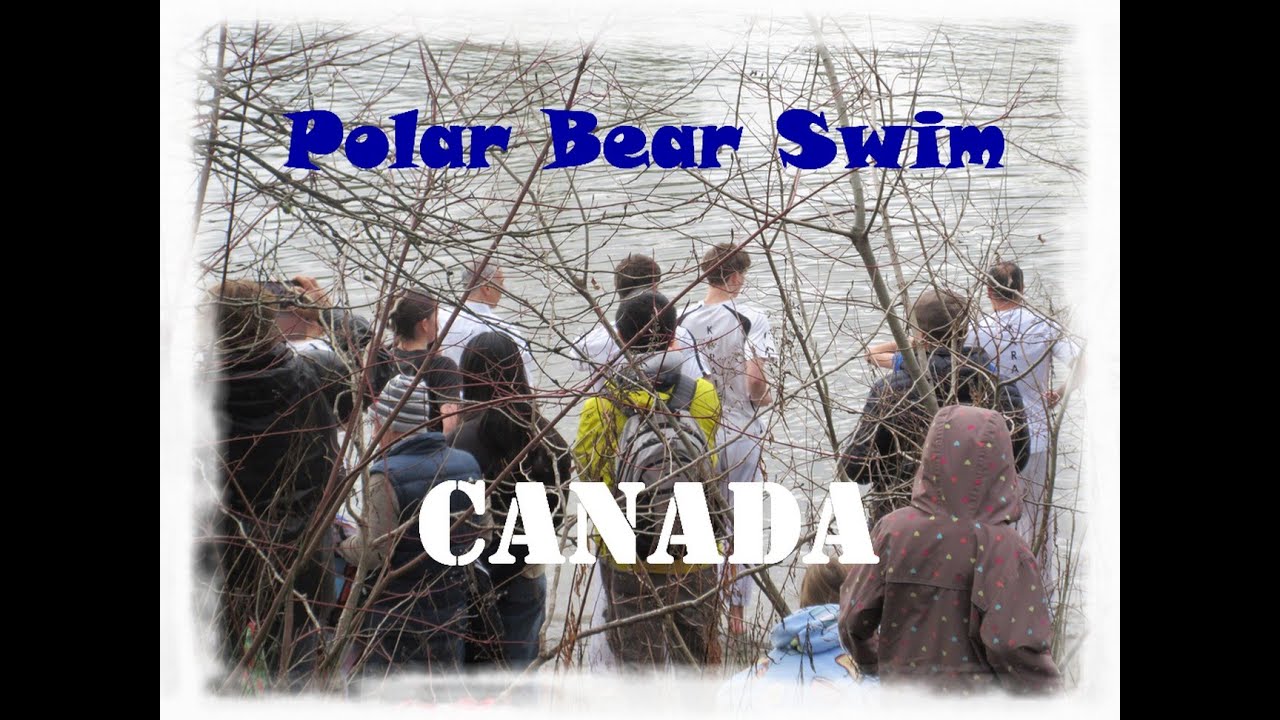 Happy New Year 2025 - Canada Polar Bear Plunge!
