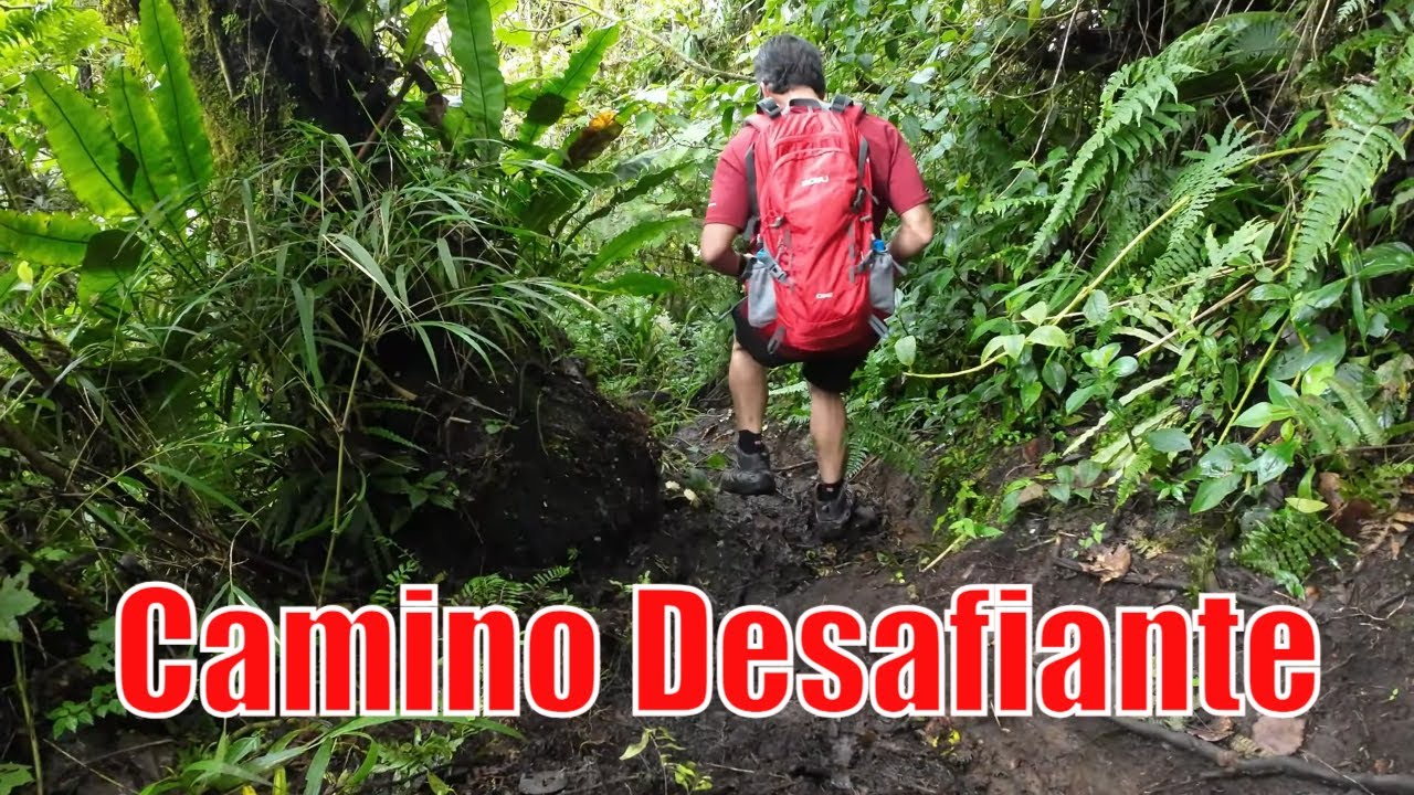 ¡Desafía la Cumbre! Caminata Increíble a Cerro Pico Blanco 🇨🇷