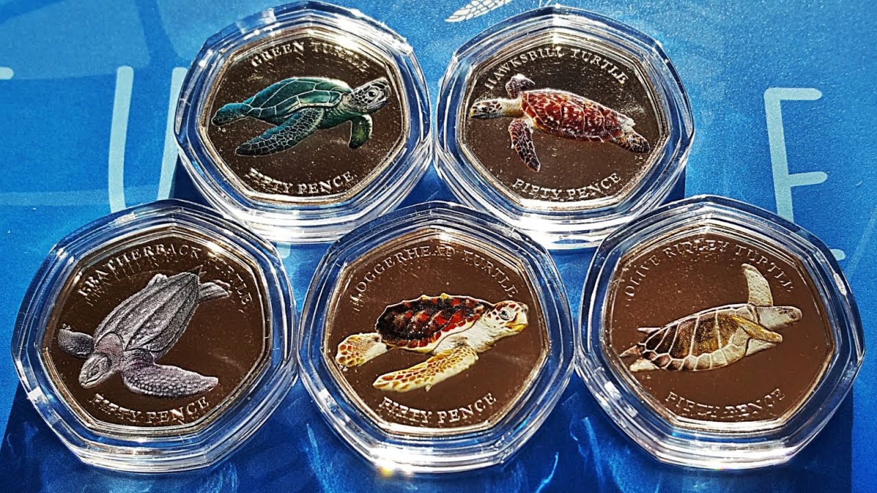 2019 British Indian Ocean Territory Turtles 50p Series