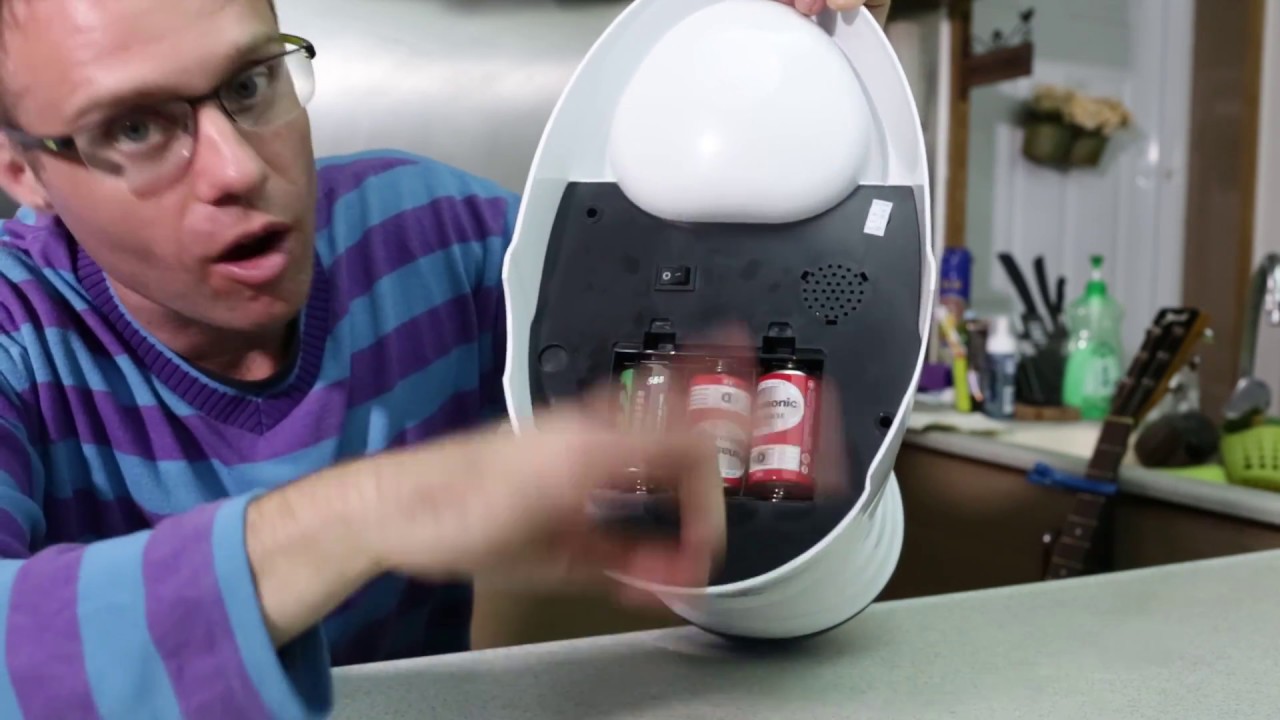 HoneyGuaridan(Anmer) Automatic Electronic Pet Feeder Food Dispenser For Dogs&Cats